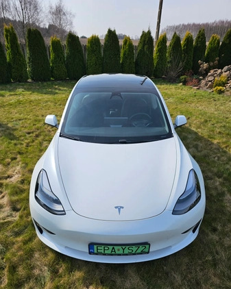 Tesla Model 3 cena 139000 przebieg: 19000, rok produkcji 2021 z Dąbrowa Tarnowska małe 121